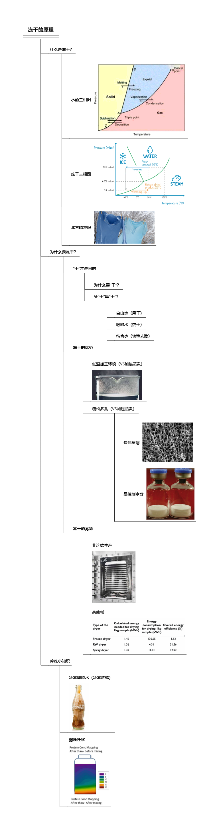02-冻干的原理.png|600