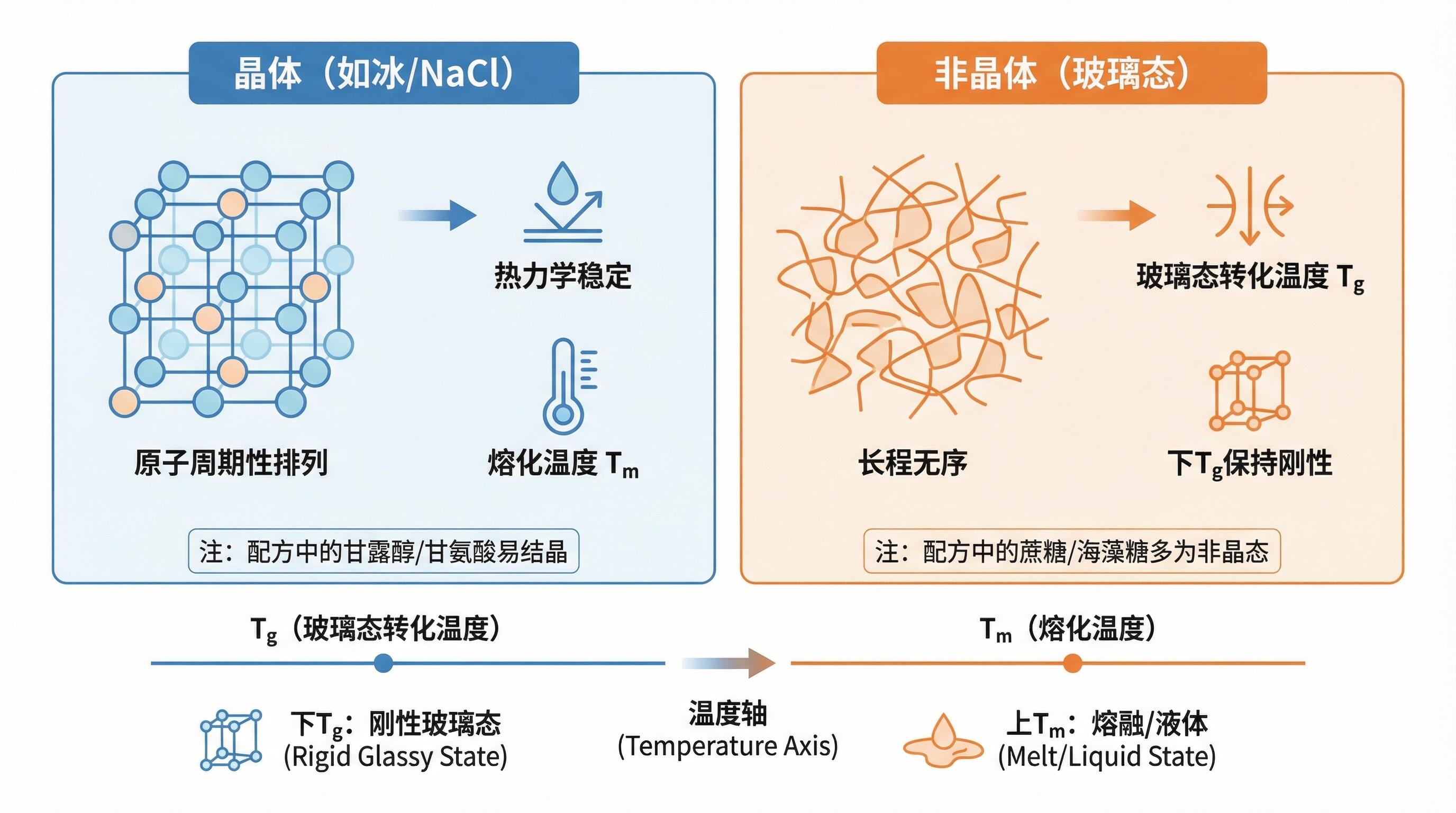 晶体 vs 非晶体 与 Tg/Tm